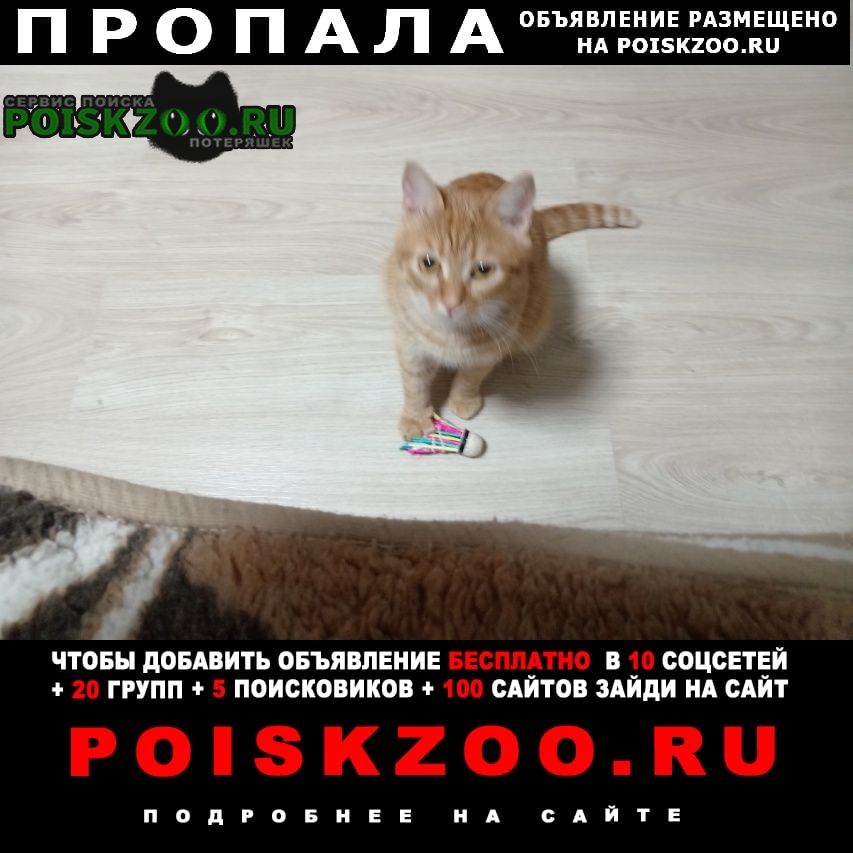 ���� �������� ����� ������ ��� ����� ����� �����