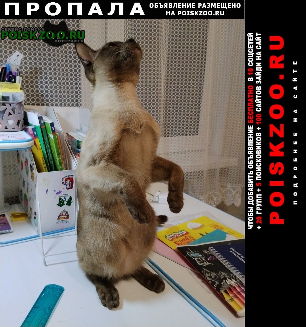 ���� ������ ���