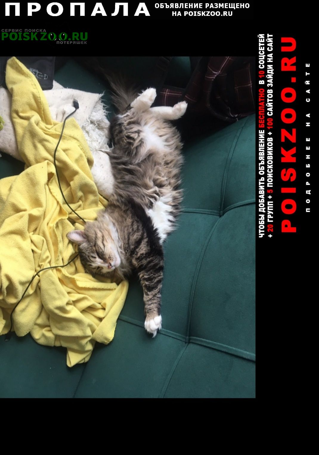 ���� ������ ���