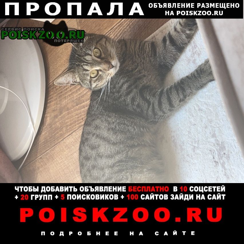 ���� �������� ����� ������ 3. 07. 26
