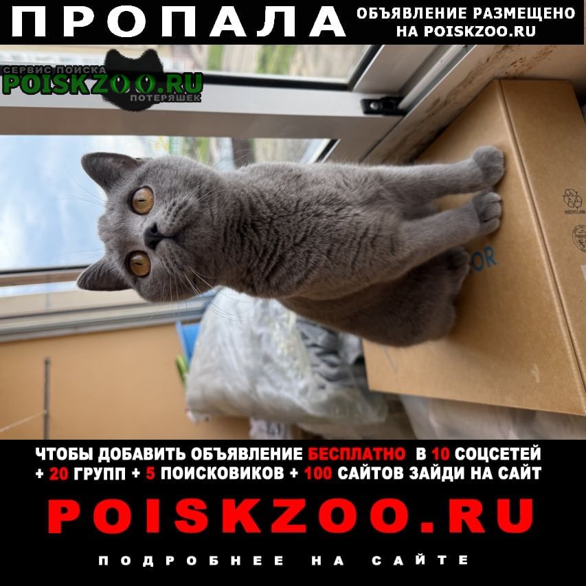 ���� ������� ����� ��������, 9 �������, ������ �����