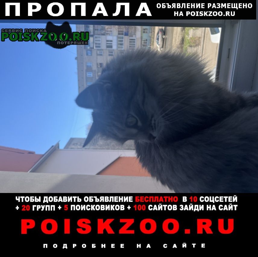 ���� ������ ��� �����, ������ ����