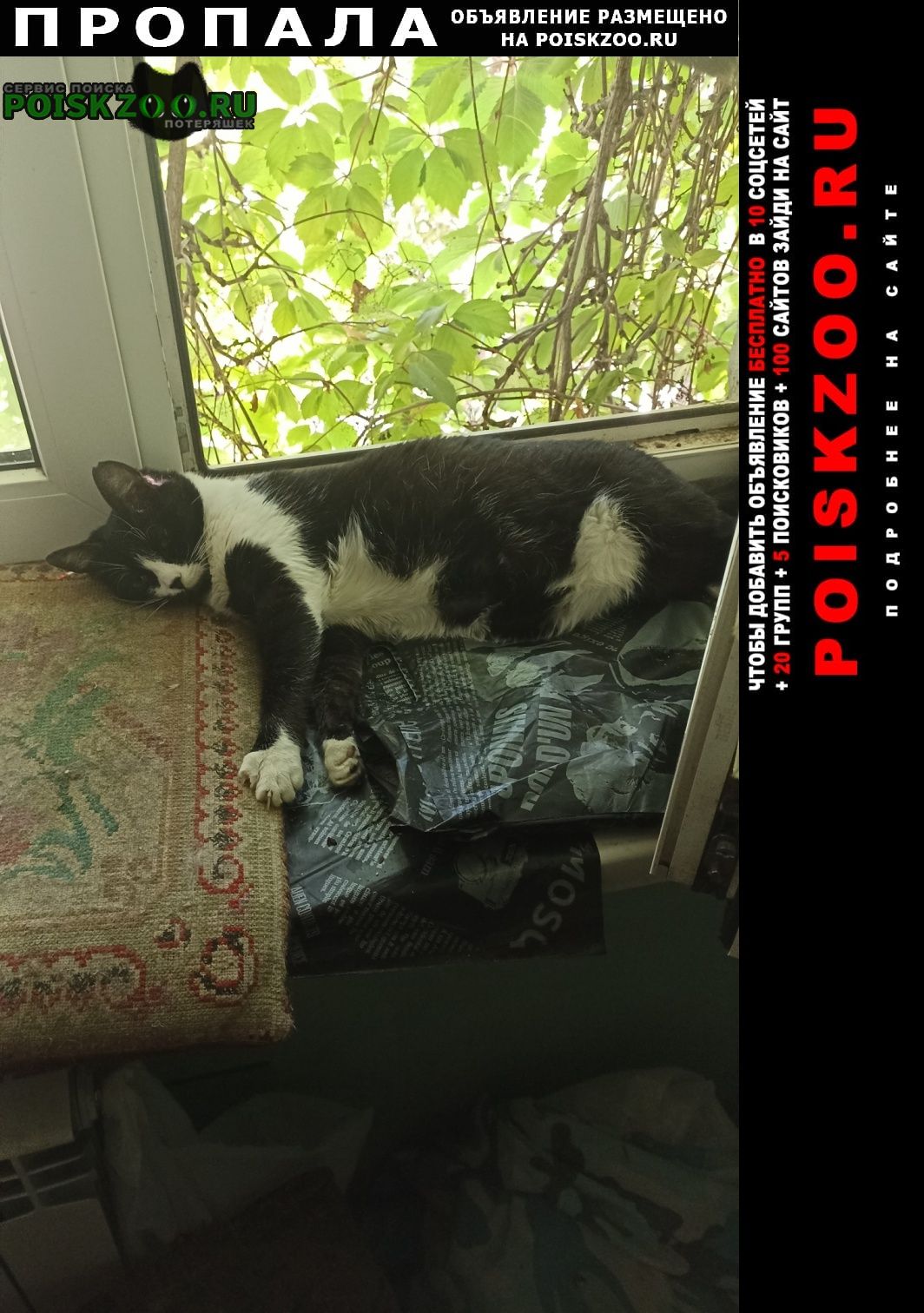 ���� ������� ����� ��������������
