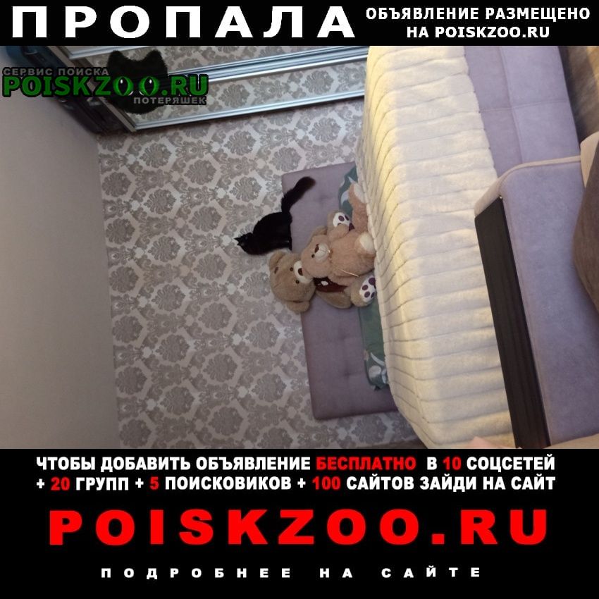 ���� ������� ����� ������������, �������� ���������� �����
