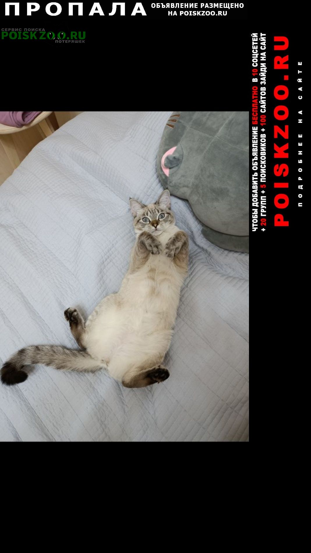 ���� ������� ����� ���� ���� ����� ����