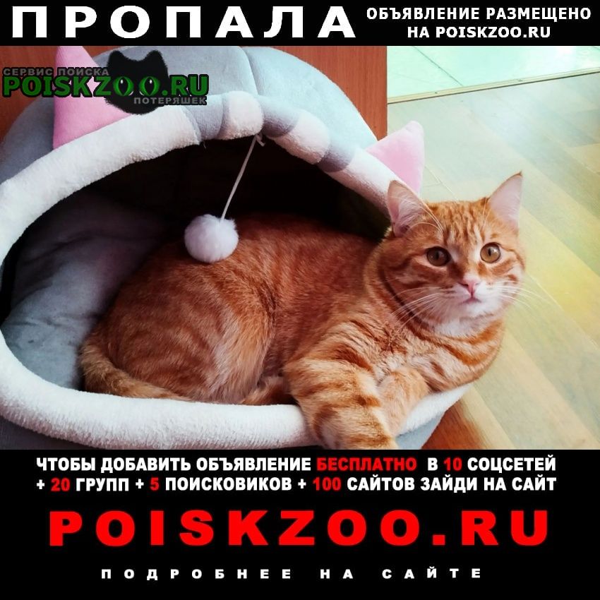���� ������ ��� �� �������������