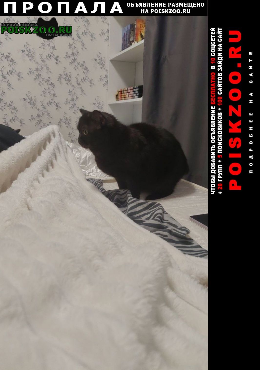 ���� ������� ����� �������� �� ������� ������ �����