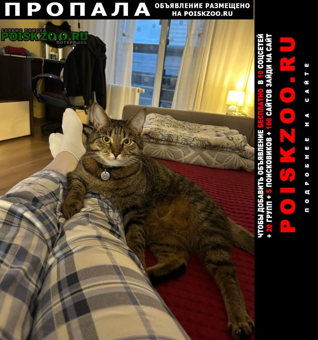���� ������ ��� �� ������ ����