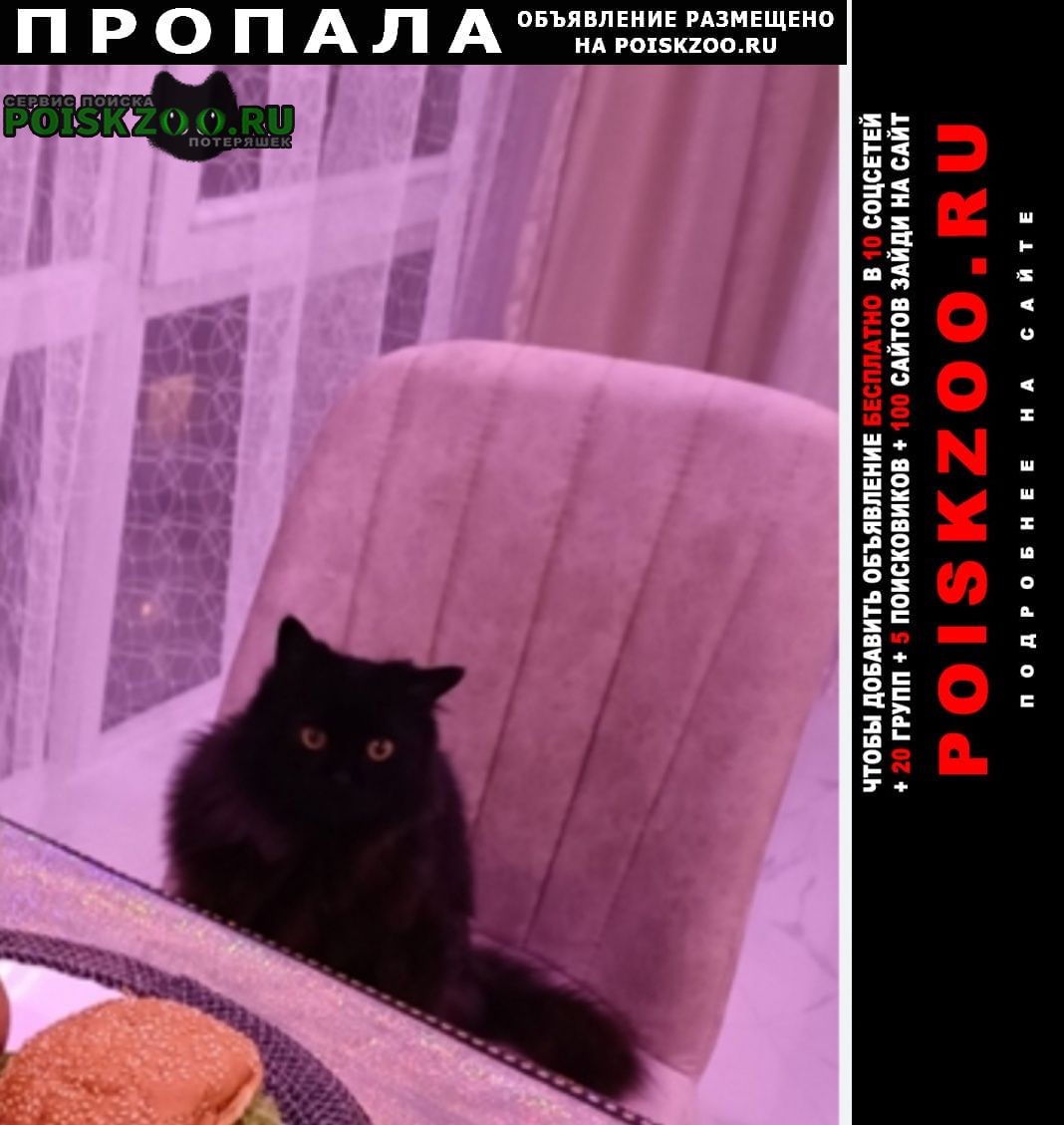 ���� ������ ��� ���������� ������ ������ ����
