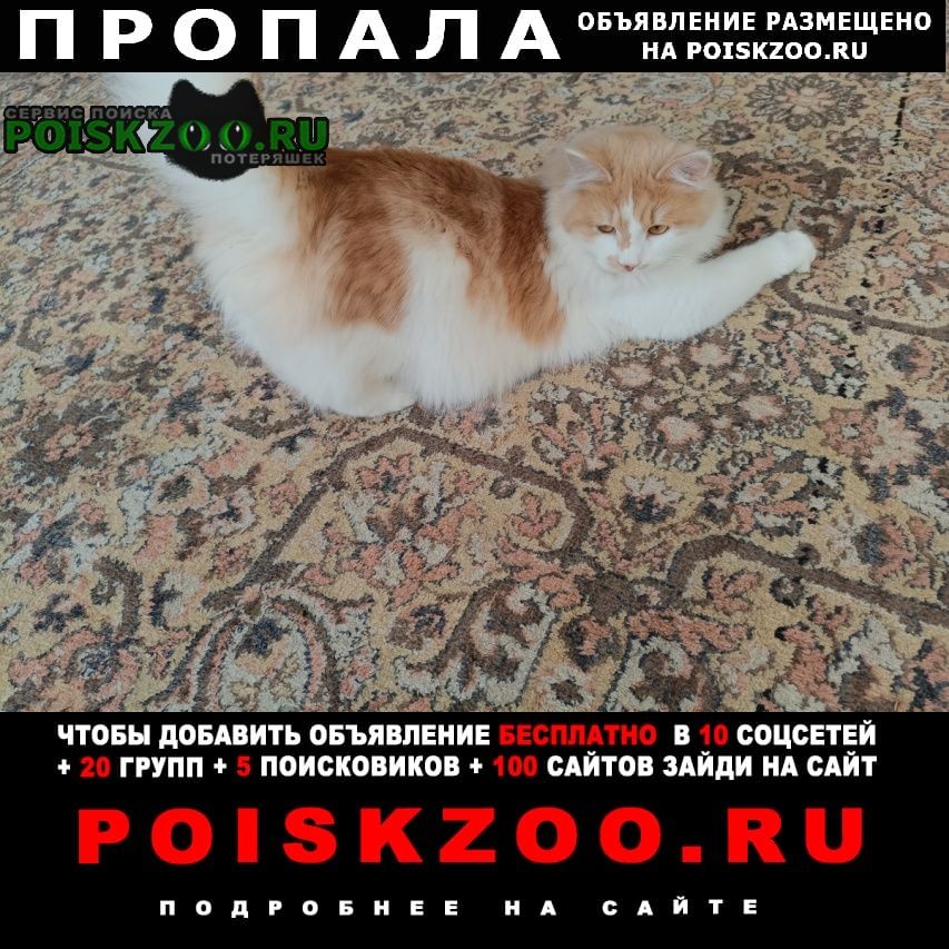 ���� ������ ���