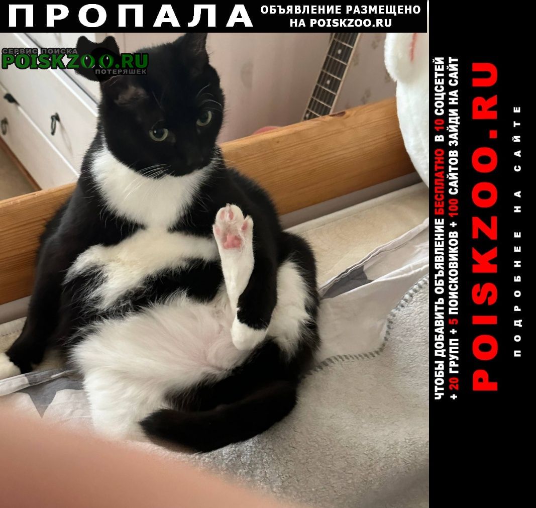 ���� ������ ���