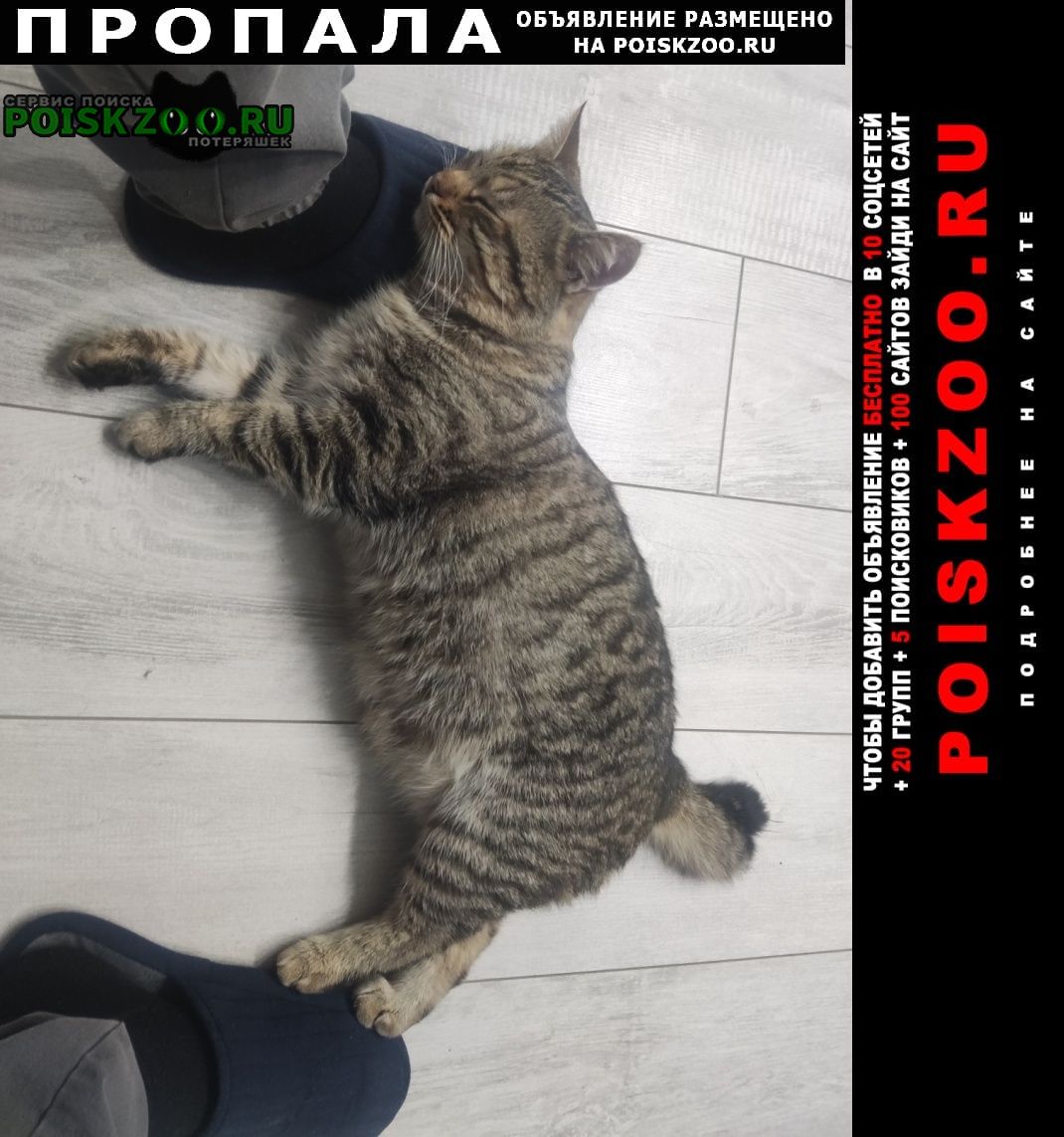 ���� ������ ��� ��������� ���