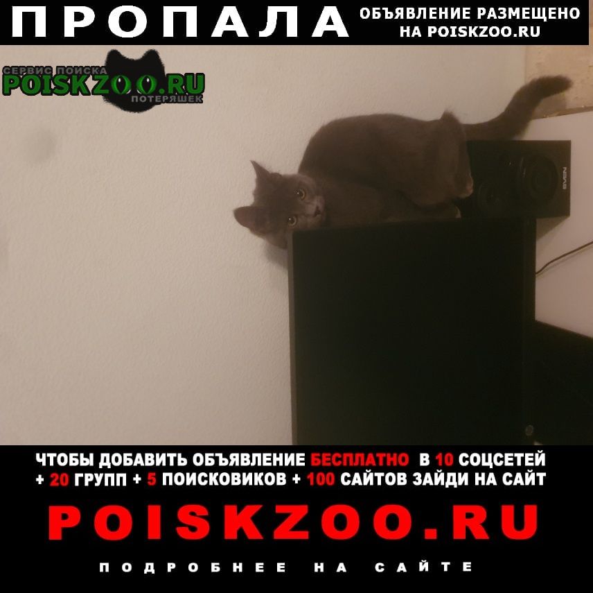 ���� ������� ����� ��������� �����