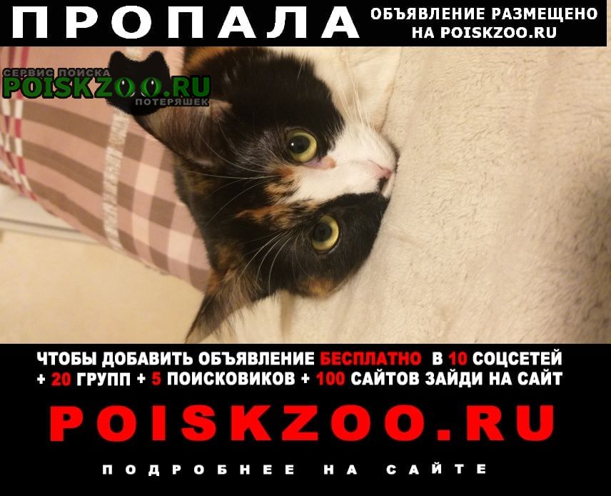 ���� ������� ����� ����������� �����.