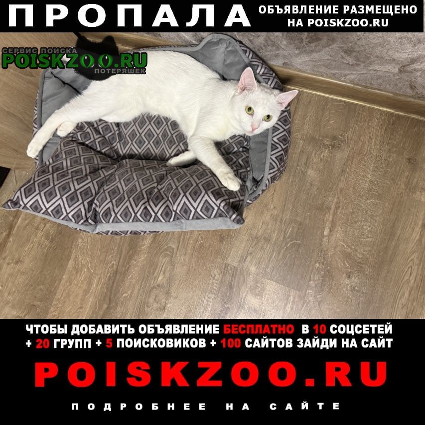 ���� ������� ����� ��� � ��� �� ���������
