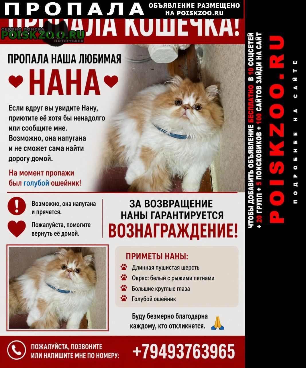 ���� ������� ����� �������� ���������� �����