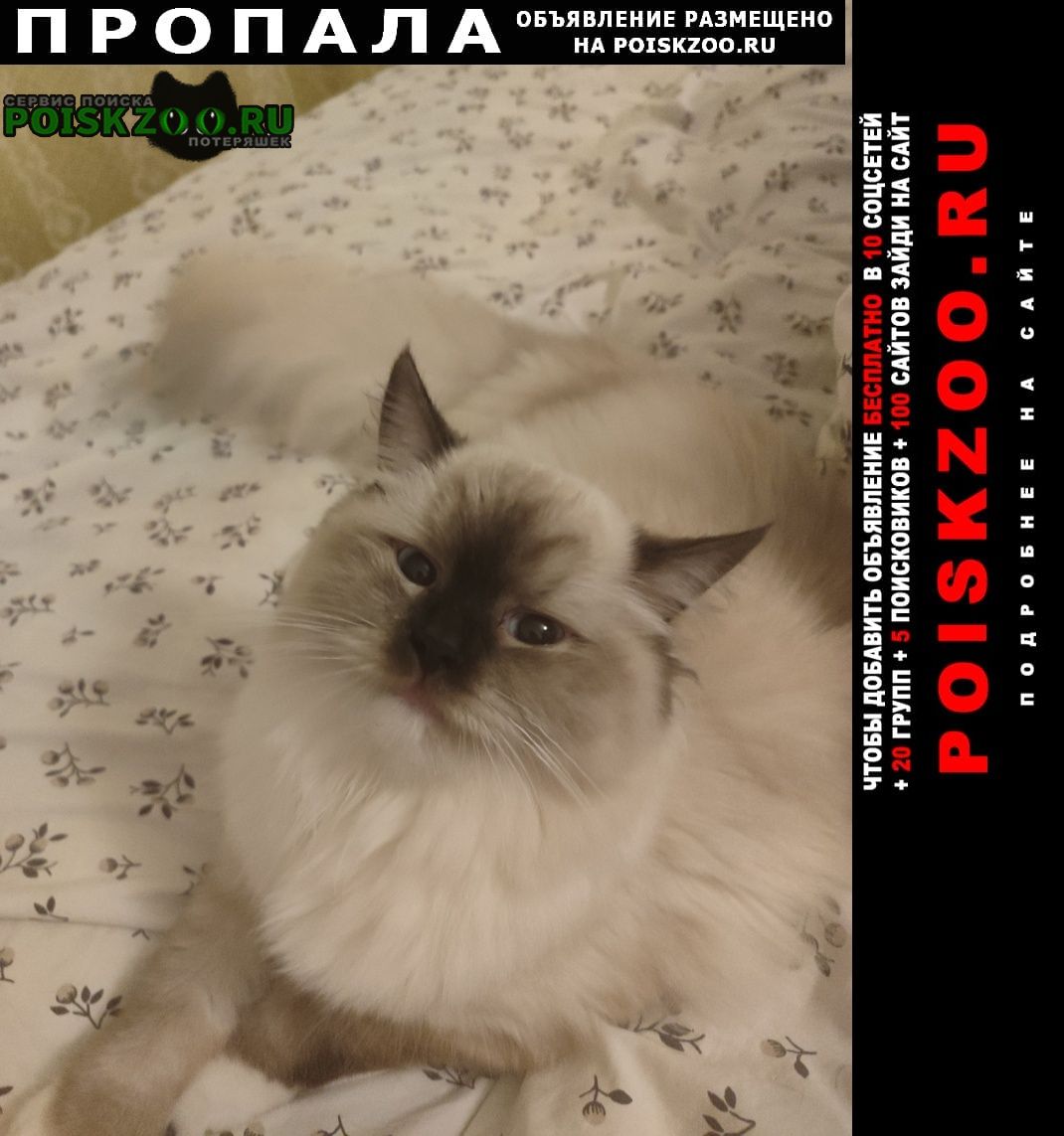���� ������� ����� �������� ���������� ����� �����
