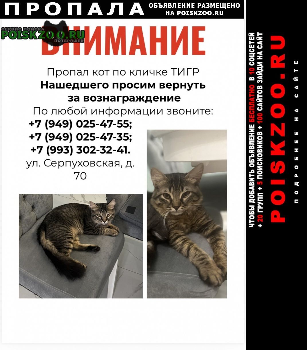 ���� ������ ��� - ���� �����