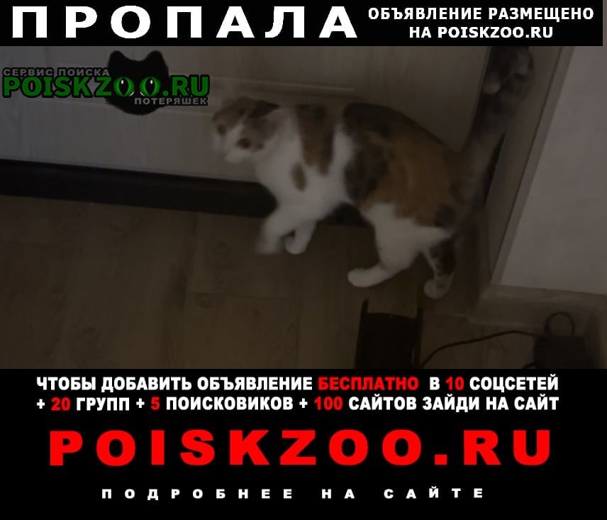 ���� ������� ����� �����, �����-������-������