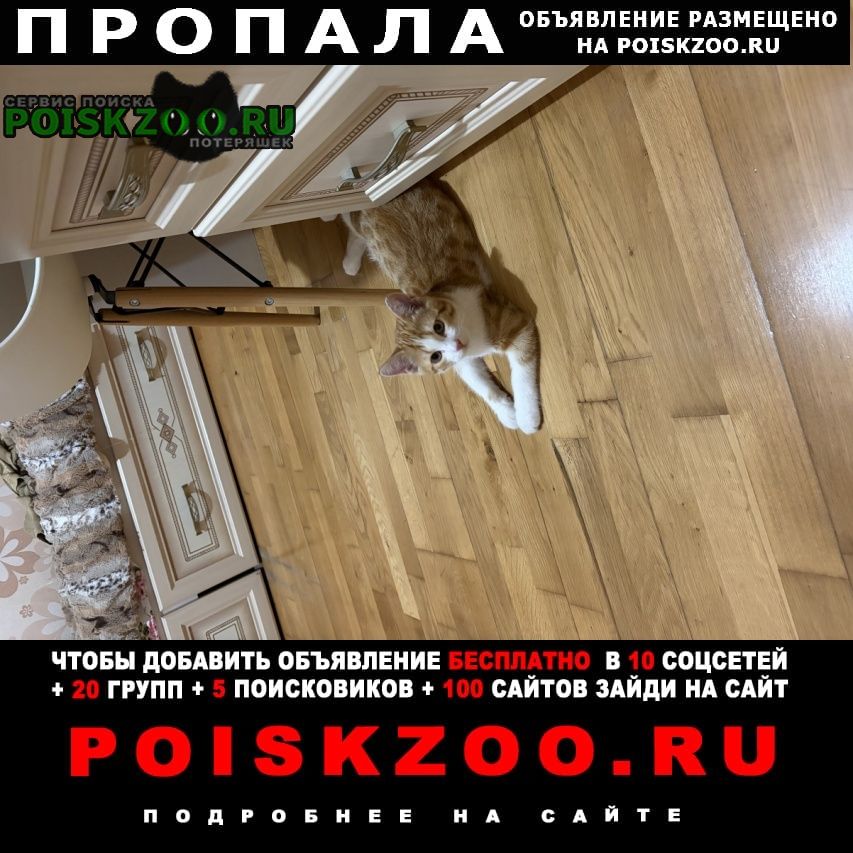 ���� ������ ���