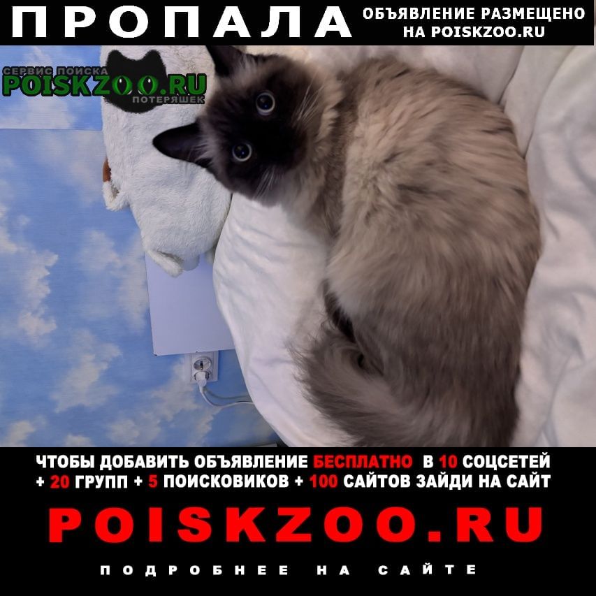 ���� ������ ���