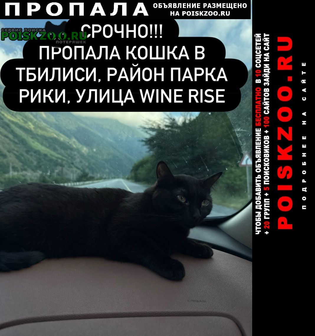 ���� ������� ����� ������ �����