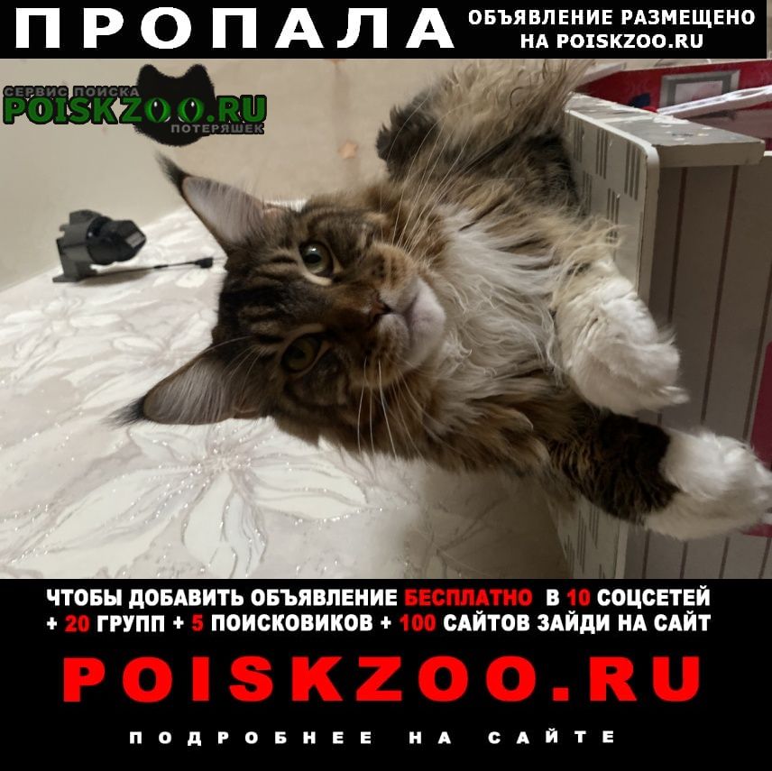���� ������ ��� ����� � ���� 2 �����.