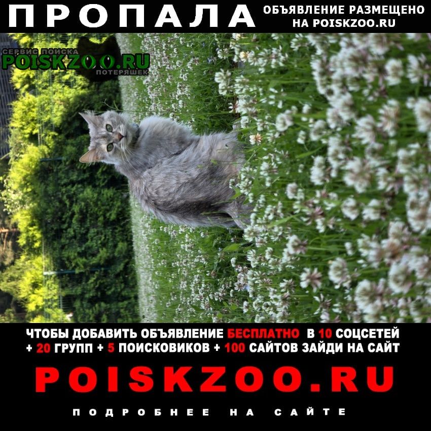 ���� ������� ����� ���������� ������