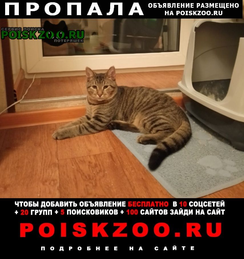 ���� ������ ��� �����, �������� ����� �������