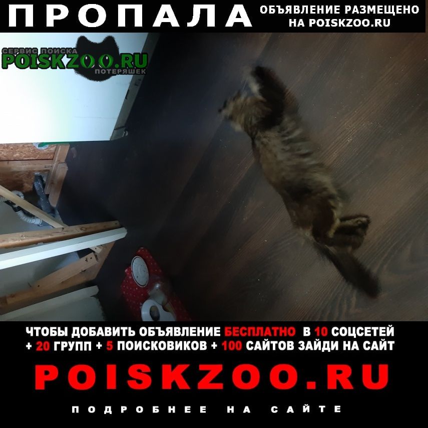 ���� ������� ����� ������ ����