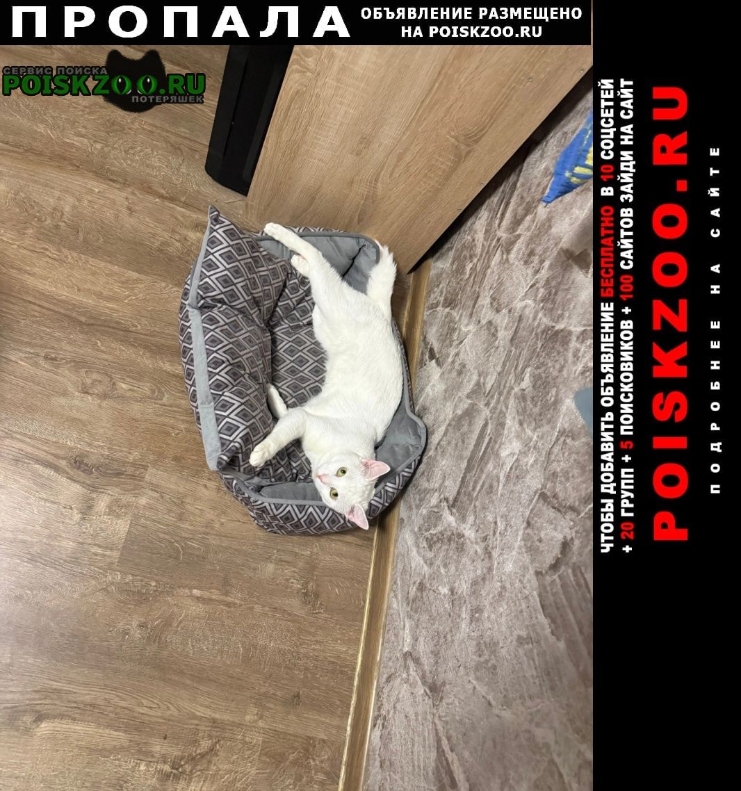 ���� ������ ���