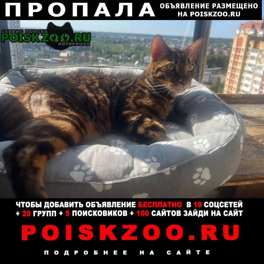 ���� ������ ��� ����� ���������� ��������
