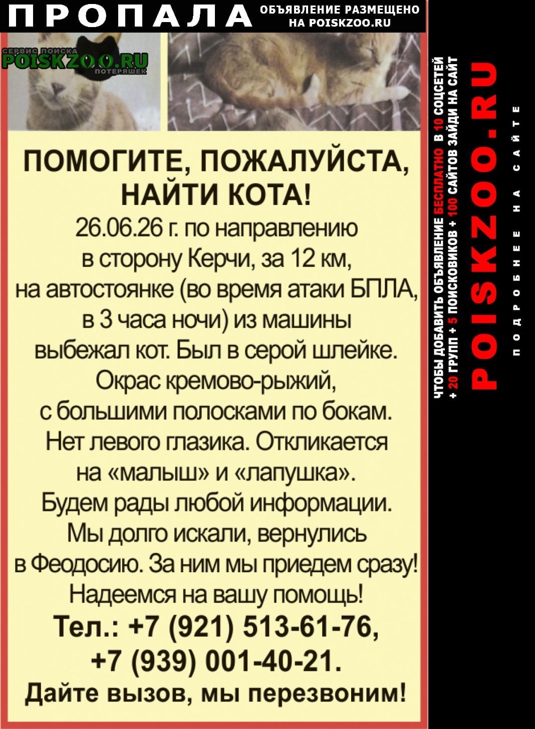 ���� ������ ��� ��������, ����������, ����� ����