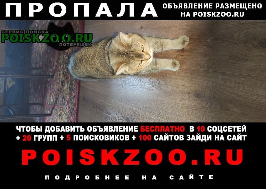 ���� ������� ����� 20 ������� � 23-00 �� ���