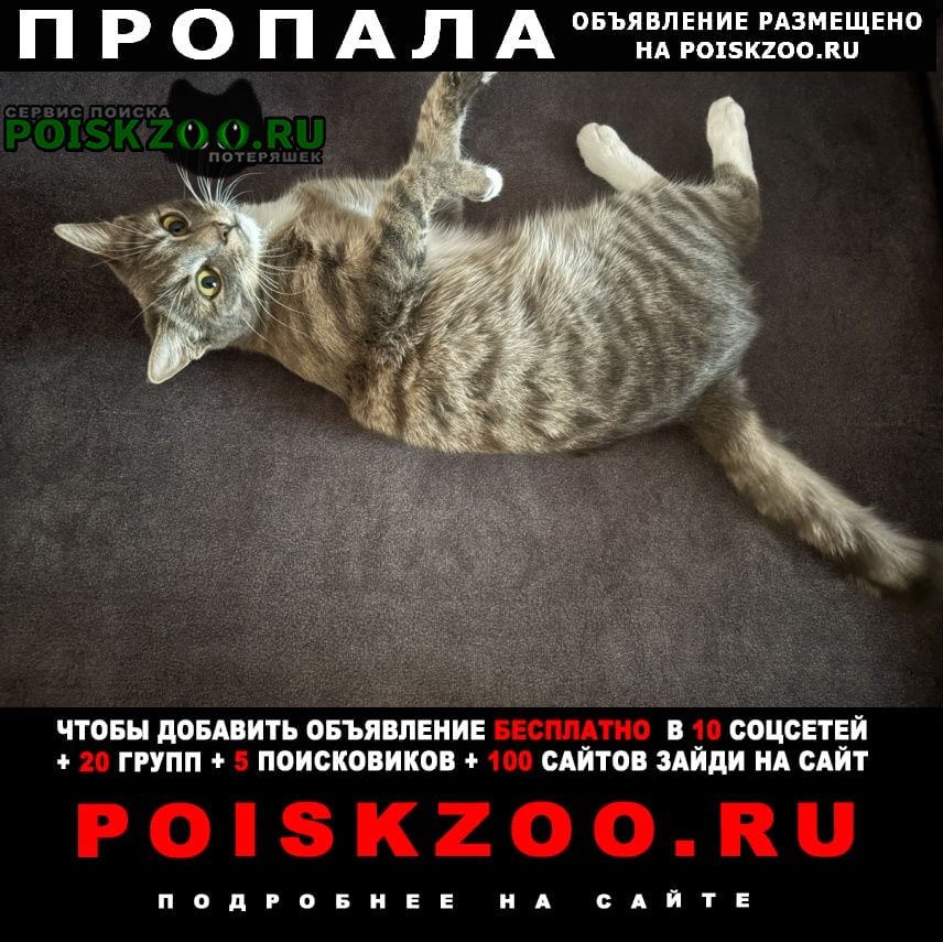 ���� ������� ����� �������� ���������� ����� �����