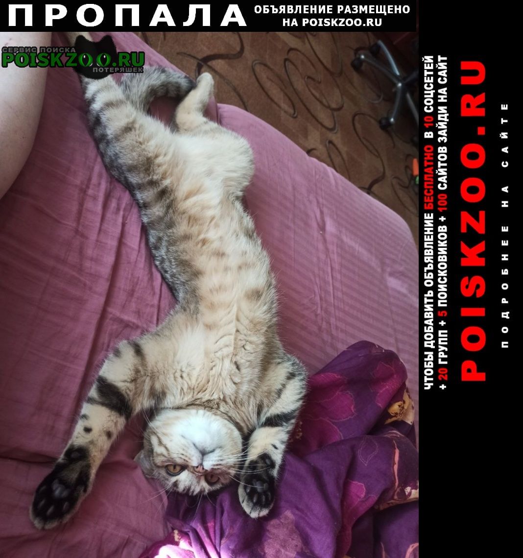 ���� ������ ��� �� ������ ���