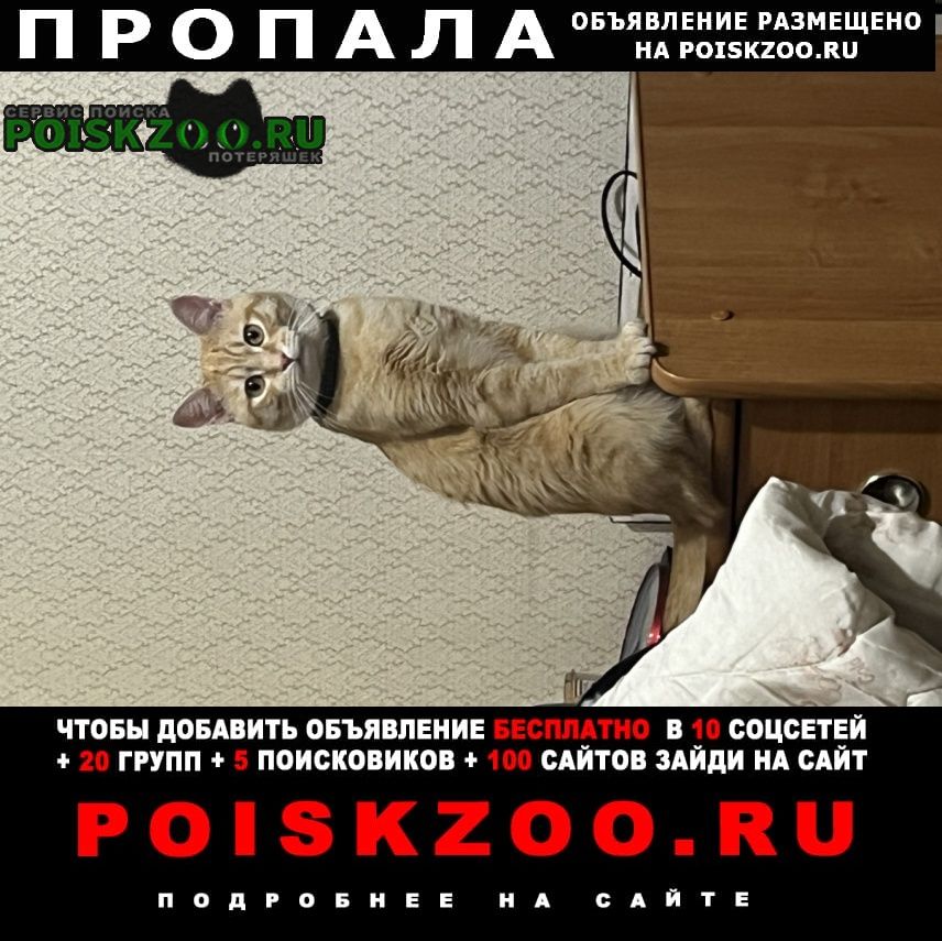���� ������ ��� ����� �����