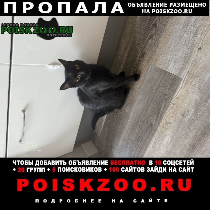 ���� ������� ����� ������ �������