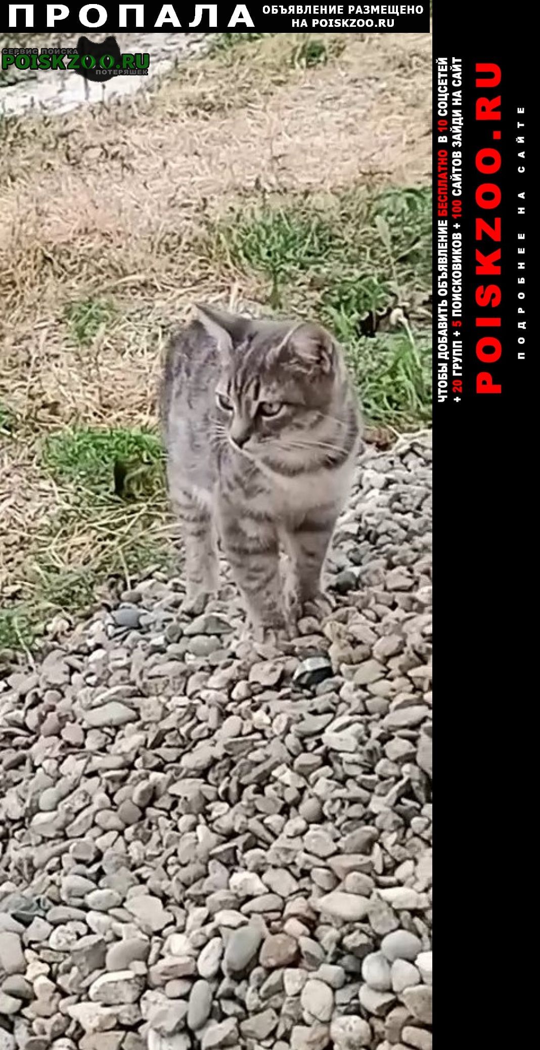 ���� ������� ����� ������� �������� � �. ����������
