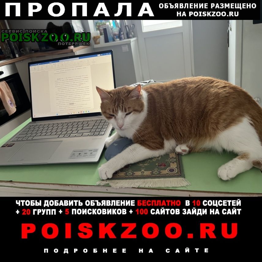 ���� ������� ����� �����, ����������