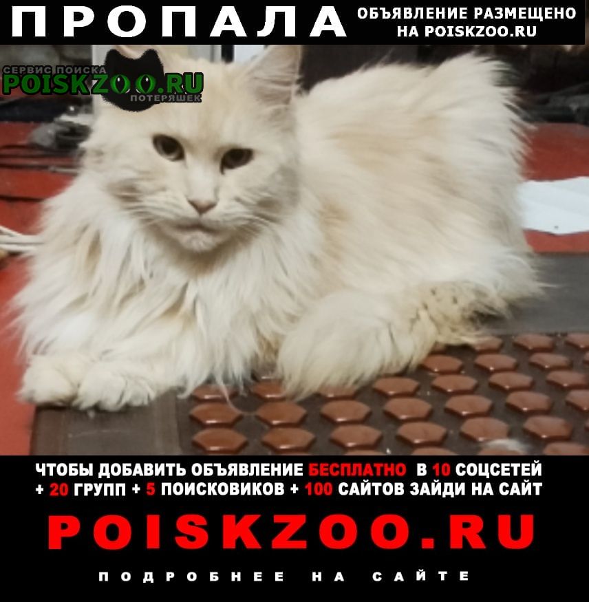 ���� ������� �����. ������� �� ����