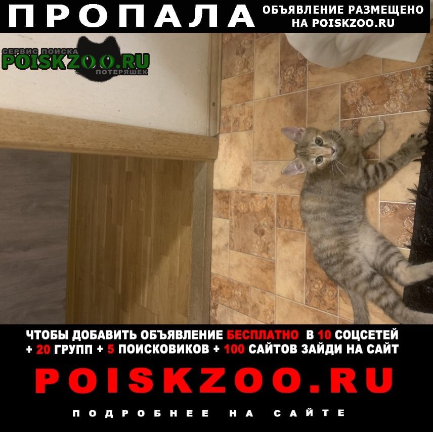 ���� ������� �����