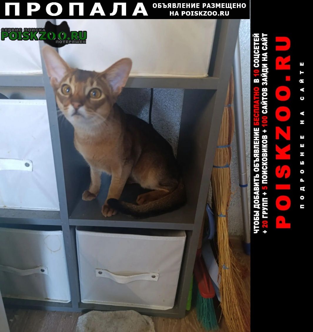 ���� ������ ��� azarovaviktori