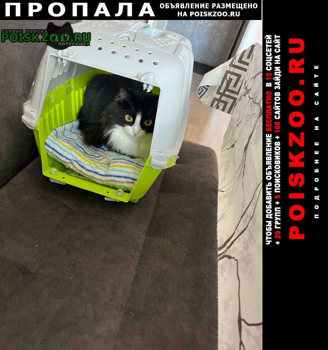 ���� ������� ����� ���������� �����-����� �����