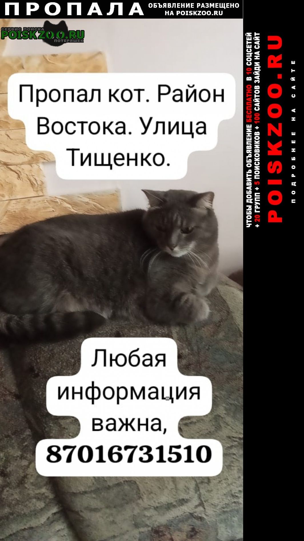 ���� ������ ��� ������� ���. � ������ �������.