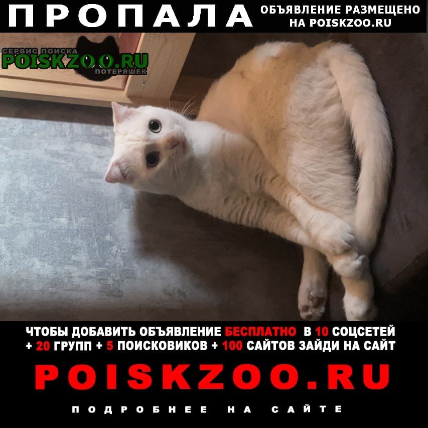 ���� ������ ���