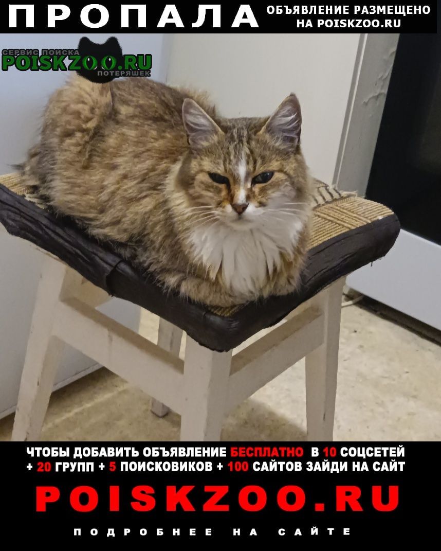 ���� ������� ����� ������� �� ���� � �� ���������