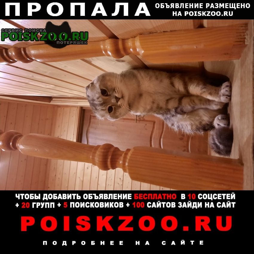 ���� ������ ��� ���������� ���������