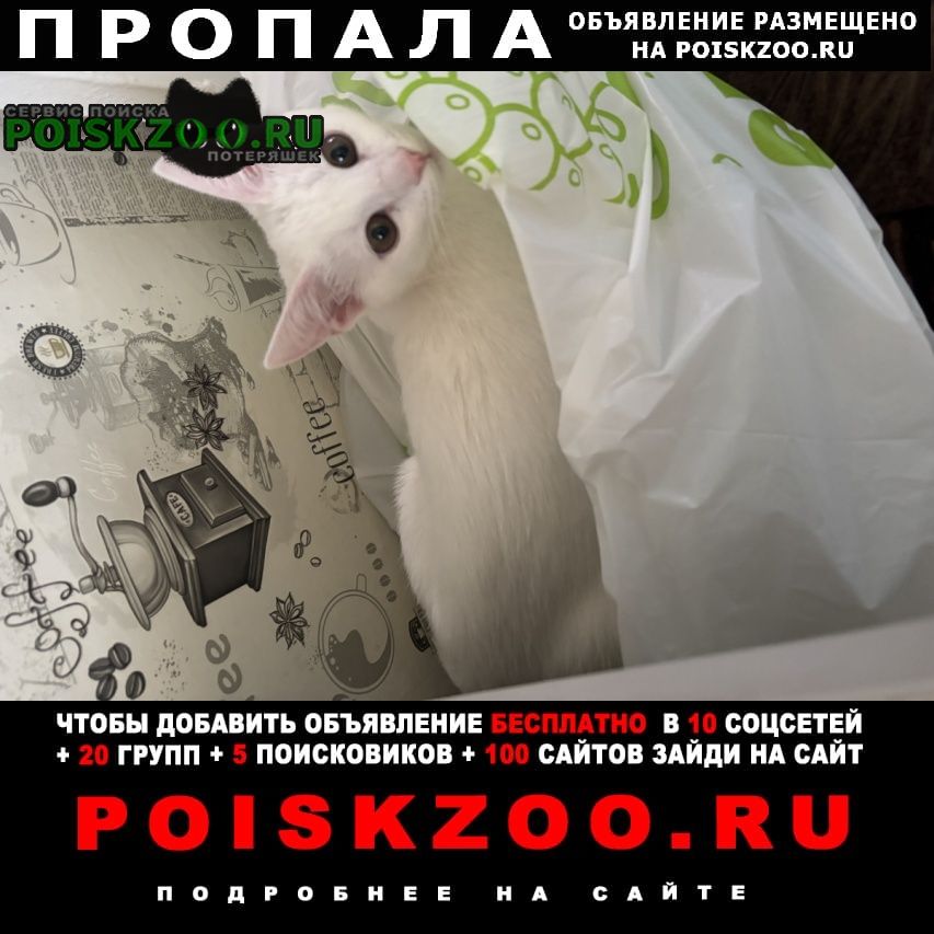 ���� ������ ��� ����� �������