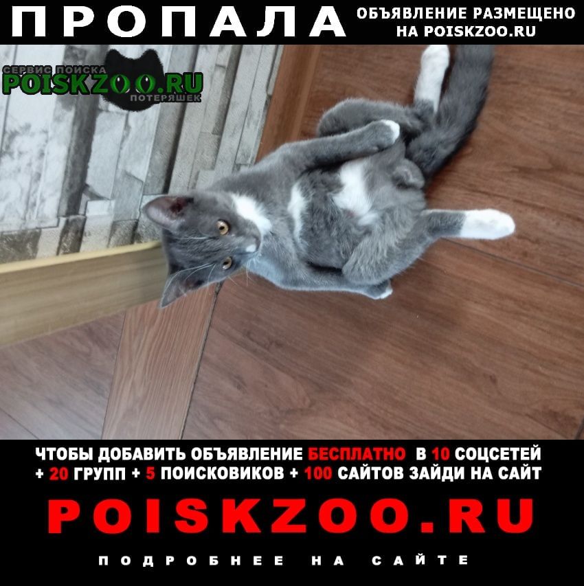 ���� ������ ��� �����